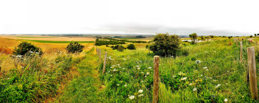 757274 (a): :4200x1670